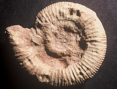 Capture_0010 Nov. 26 22.28.jpg